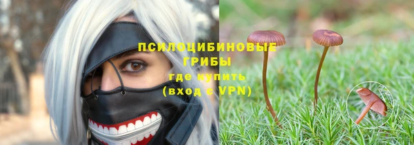не бодяженный Арсеньев
