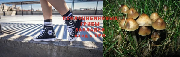 не бодяженный Арсеньев